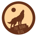 bona blog concept 2